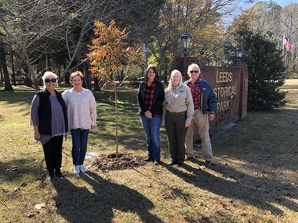 City of Leeds Tree Commission Project at Leeds Memorial Park November 2019