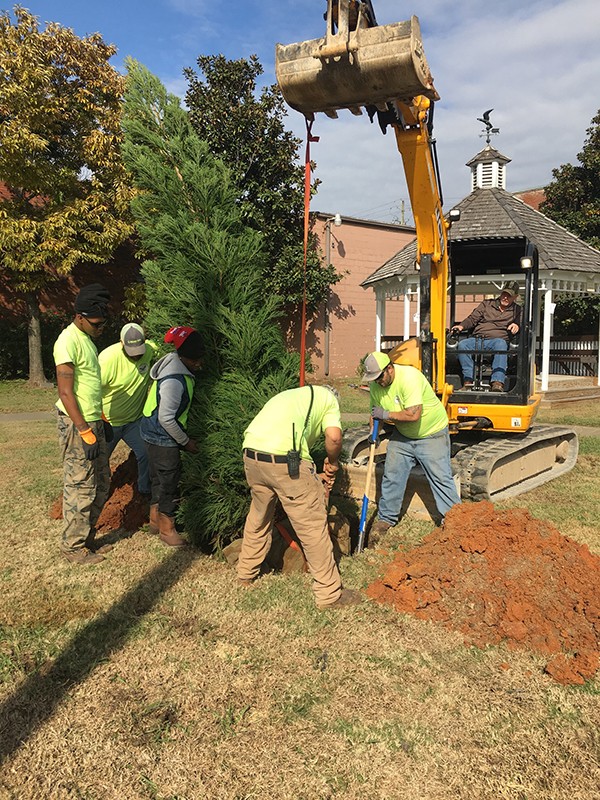 Leeds Downtown Christmas Tree Has Been Planted in preparation for  Leeds Downtown Christmas Tree Lighting Event coming up Thursday, November 29 at 6:30 pm