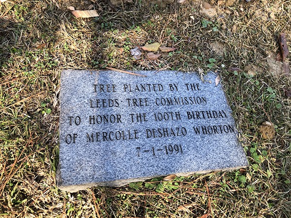 City of Leeds Tree Commission Project at Leeds Memorial Park 2019
